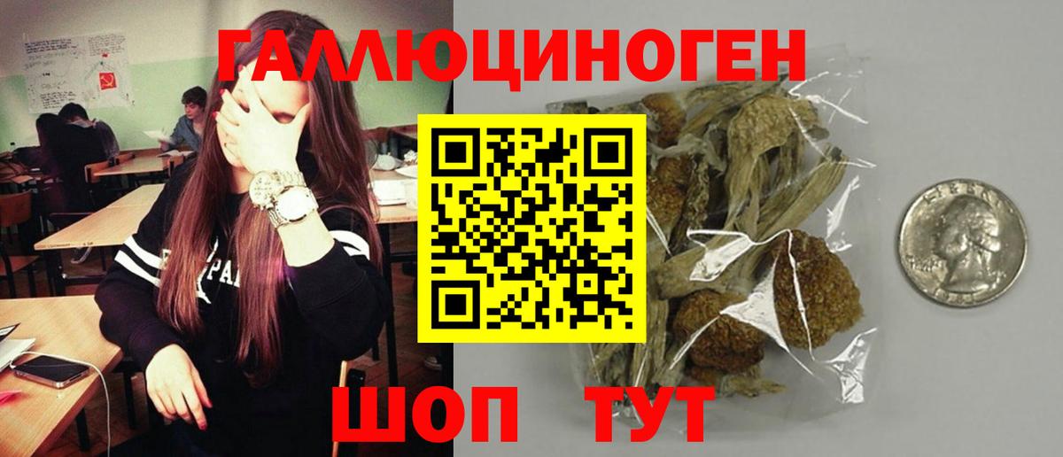 Псилоцибиновые грибы Cubensis  Галлюциногенные грибы Cubensis  Качканар  Вход с VPN 